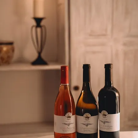 Dom wakacyjny Hopovske Terase *