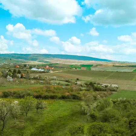 Hopovske Terase * Irig