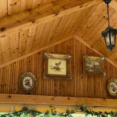 Dom wakacyjny Hopovske Terase *