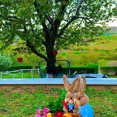 Hopovske Terase Irig