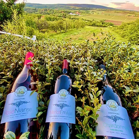 Hopovske Terase Irig