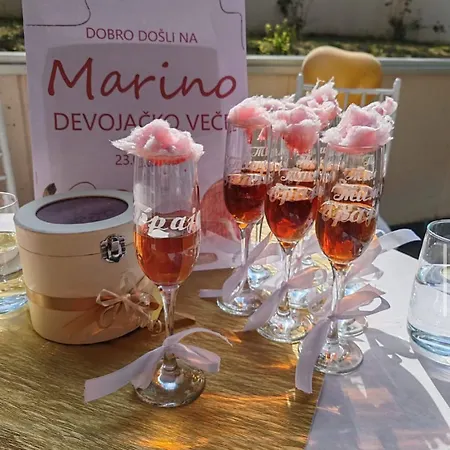 Dom wakacyjny Hopovske Terase Irig