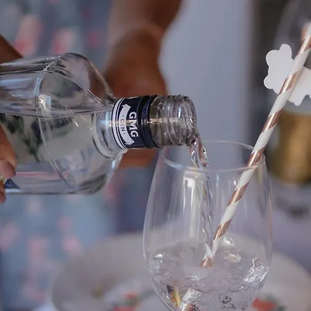 Hopovske Terase * Irig