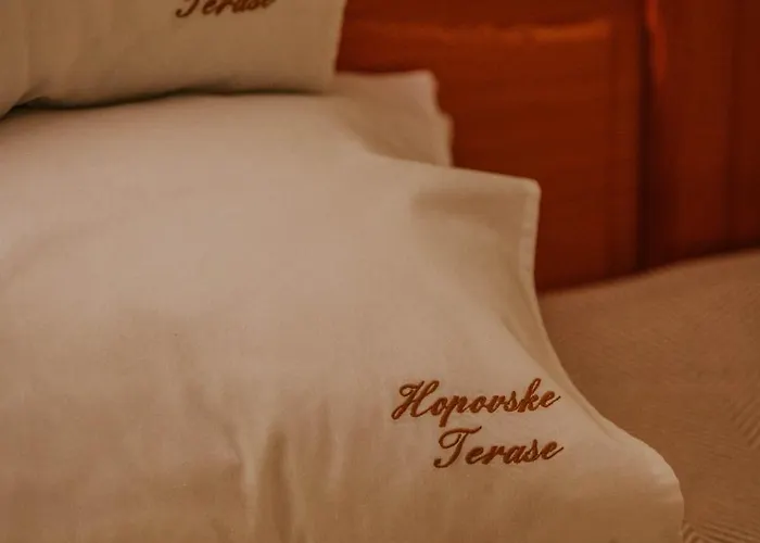 Hopovske Terase بيت للعطل *