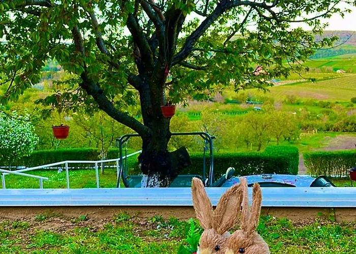 Hopovske Terase Irig