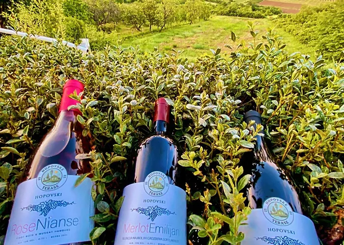 Hopovske Terase Irig