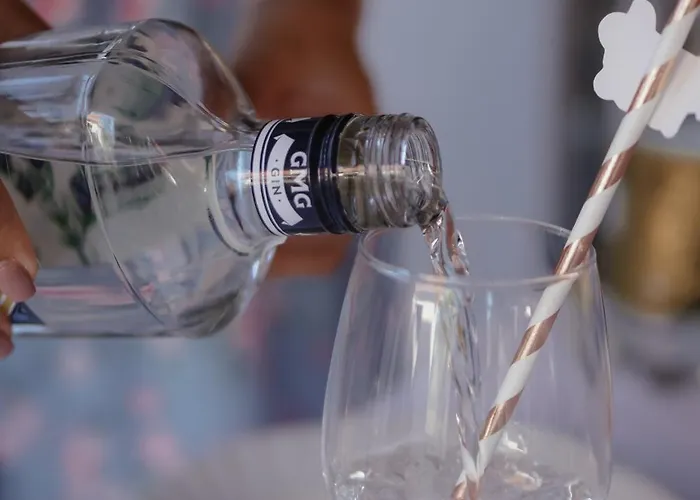 Hopovske Terase * Irig